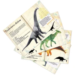 Set de 21 magnets dinosaures Muséum national Histoire naturelle 9623<VILAC Fashion