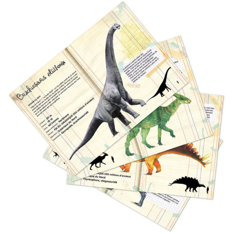 Set de 21 magnets dinosaures Muséum national Histoire naturelle 9623<VILAC Fashion