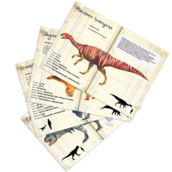 Set de 21 magnets dinosaures Muséum national Histoire naturelle 9623<VILAC Fashion