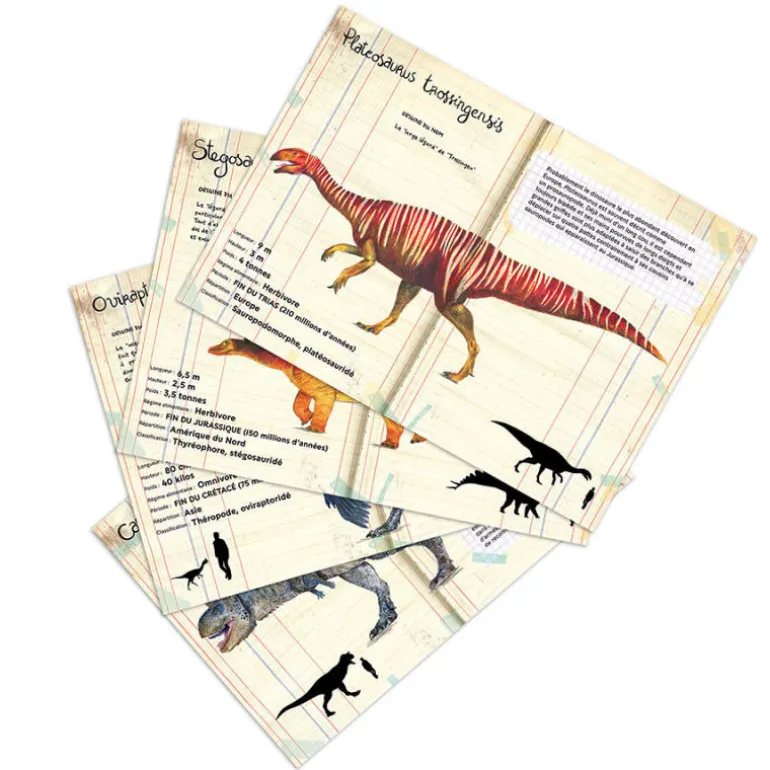 Set de 21 magnets dinosaures Muséum national Histoire naturelle 9623<VILAC Fashion