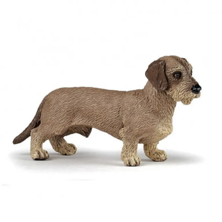 Teckel, figurine 54043<Papo Hot