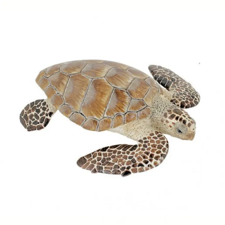 Tortue caouanne, figurine 56005<Papo Clearance