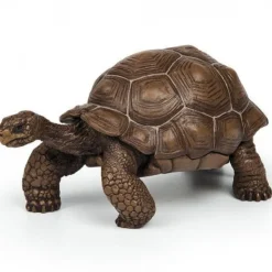 Tortue des Galapagos 50161<Papo Flash Sale