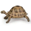 Tortue d'Hermann, figurine 50264<Papo Sale