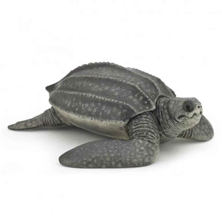 Tortue luth, figurine 56022<Papo Best Sale
