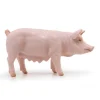 Truie, figurine 51188<Papo Sale